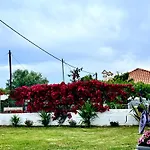 Olea Nea Kallikrateia