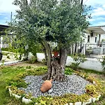 Olea Ferienhaus Nea Kallikrateia