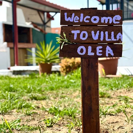 Olea 度假居 *