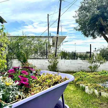 度假居 Olea