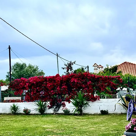 Olea Nea Kallikrateia