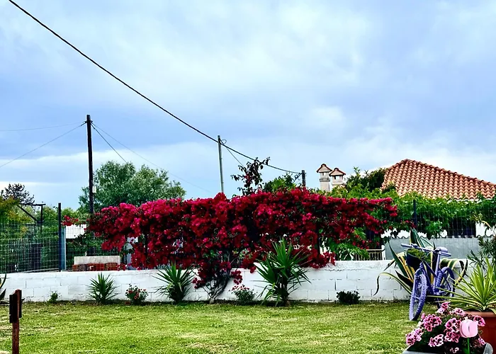 Olea Nea Kallikrateia