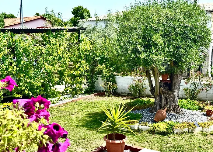 Case de vacanță Olea