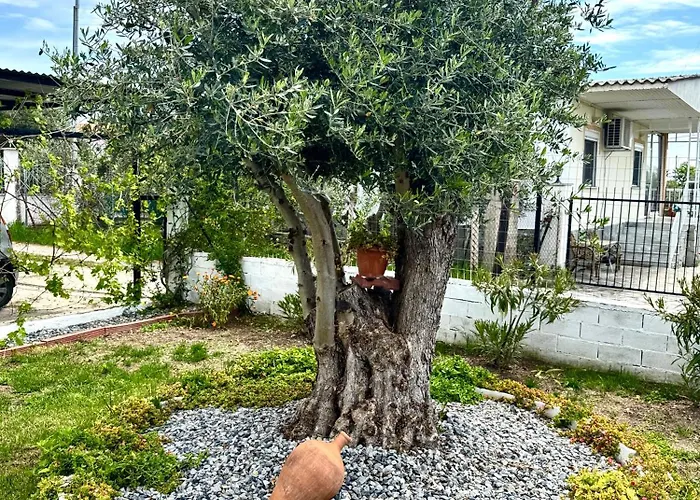 Olea Case de vacanță Nea Kallikrateia