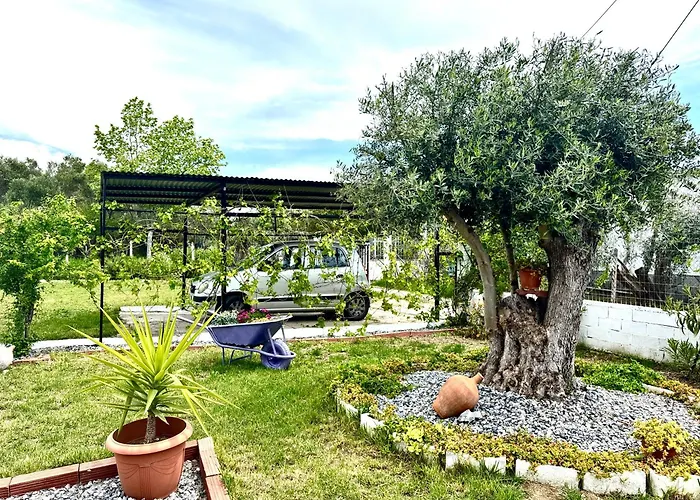 Olea
