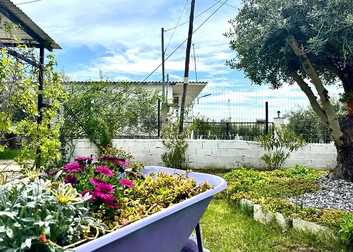 Case de vacanță Olea